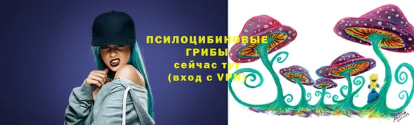 ГАЛЛЮЦИНОГЕННЫЕ ГРИБЫ Балабаново