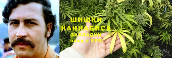 ГАЛЛЮЦИНОГЕННЫЕ ГРИБЫ Балабаново