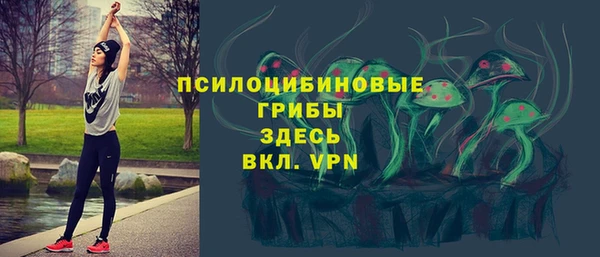 ГАЛЛЮЦИНОГЕННЫЕ ГРИБЫ Балабаново