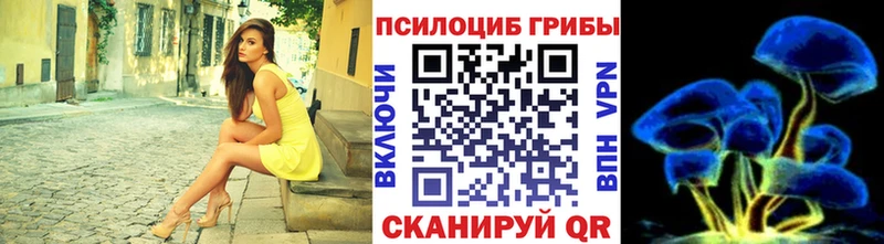 omg ссылки  Гагарин  Псилоцибиновые грибы Psilocybine cubensis 